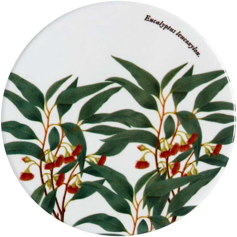 Maxwell and Williams Royal Botanic Gardens Victoria Coaster - Flowering Gum Maxwell And Williams Royal Botanic Gardens Victoria Coaster - Flowering Gum -Avanti store