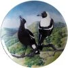 Maxwell And Williams Birds Of Australia Anniversary Plate 20cm - Magpie -Avanti store DX0661 1024x1024