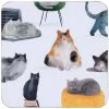 Maxwell And Williams Marc Martin Feline Friends Cork Back Coaster 10.5cm Set Of 4 -Avanti store GI0324 1024x1024